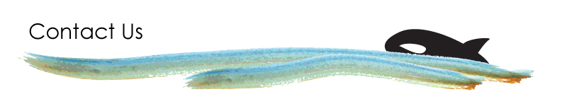 banner_6